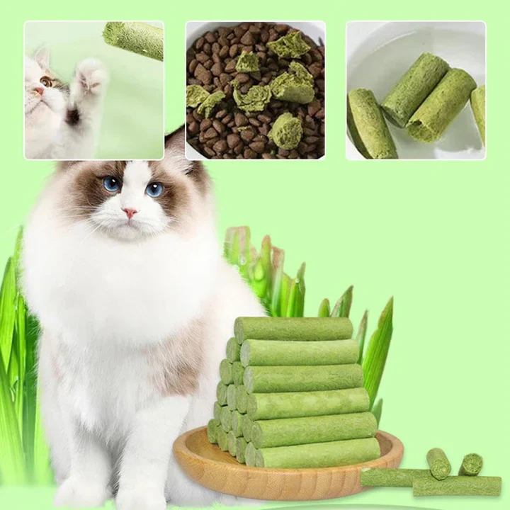 Cat Grass Teething Stick for Teeth and Hairballs (PACK OF 5) - Image 5