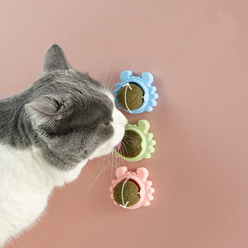Cat nip Balls (PACK OF 2) - Image 2