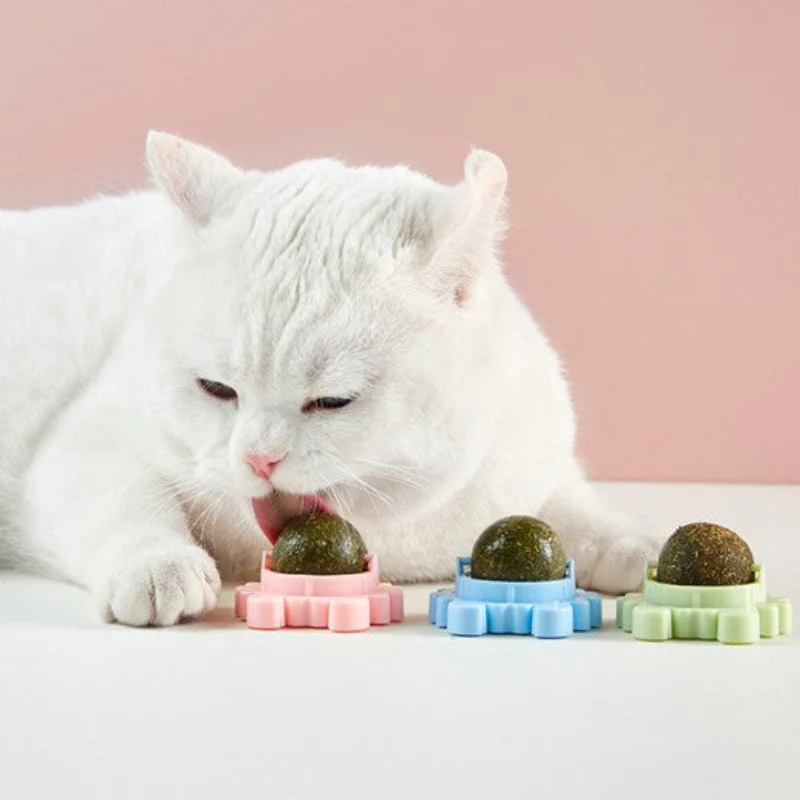 Cat nip Balls (PACK OF 2) - Image 3
