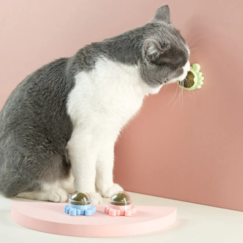 Cat nip Balls (PACK OF 2) - Image 4