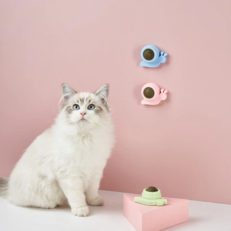 Cat nip Balls (PACK OF 2) - Image 5