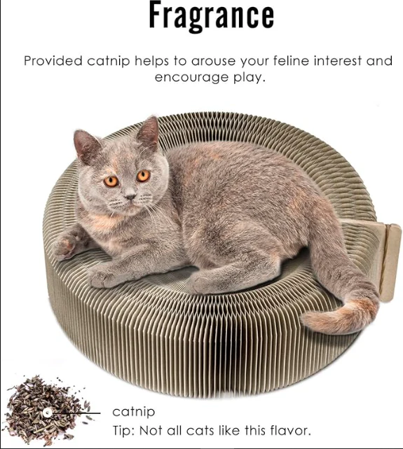Cat Scratching Board Toy - Image 3