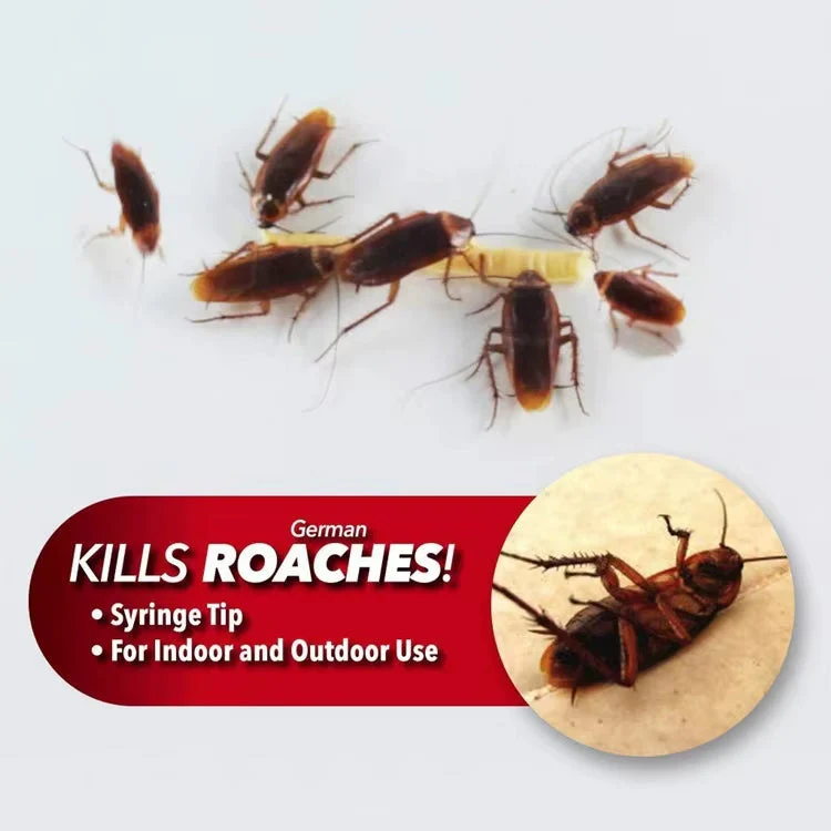cockroach killing gel - Image 4