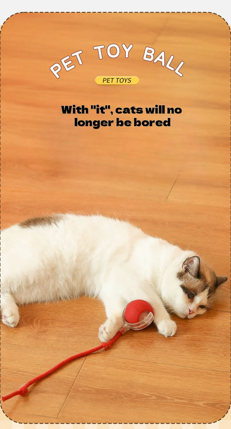Eco-Friendly Pet Interactive Toy Ball - Image 2