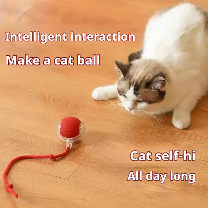 Eco-Friendly Pet Interactive Toy Ball - Image 4