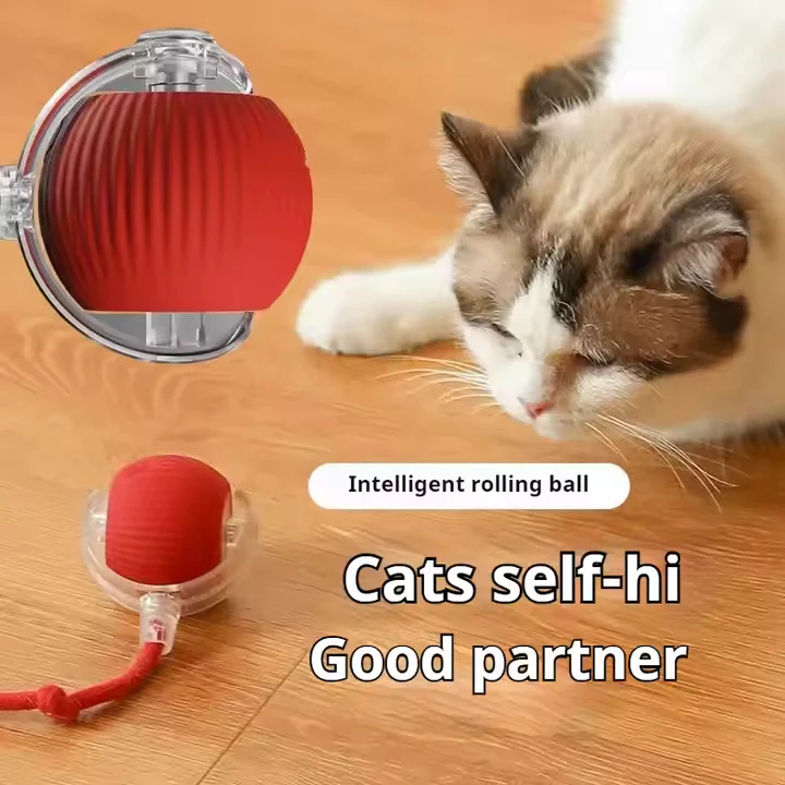 Eco-Friendly Pet Interactive Toy Ball - Image 5