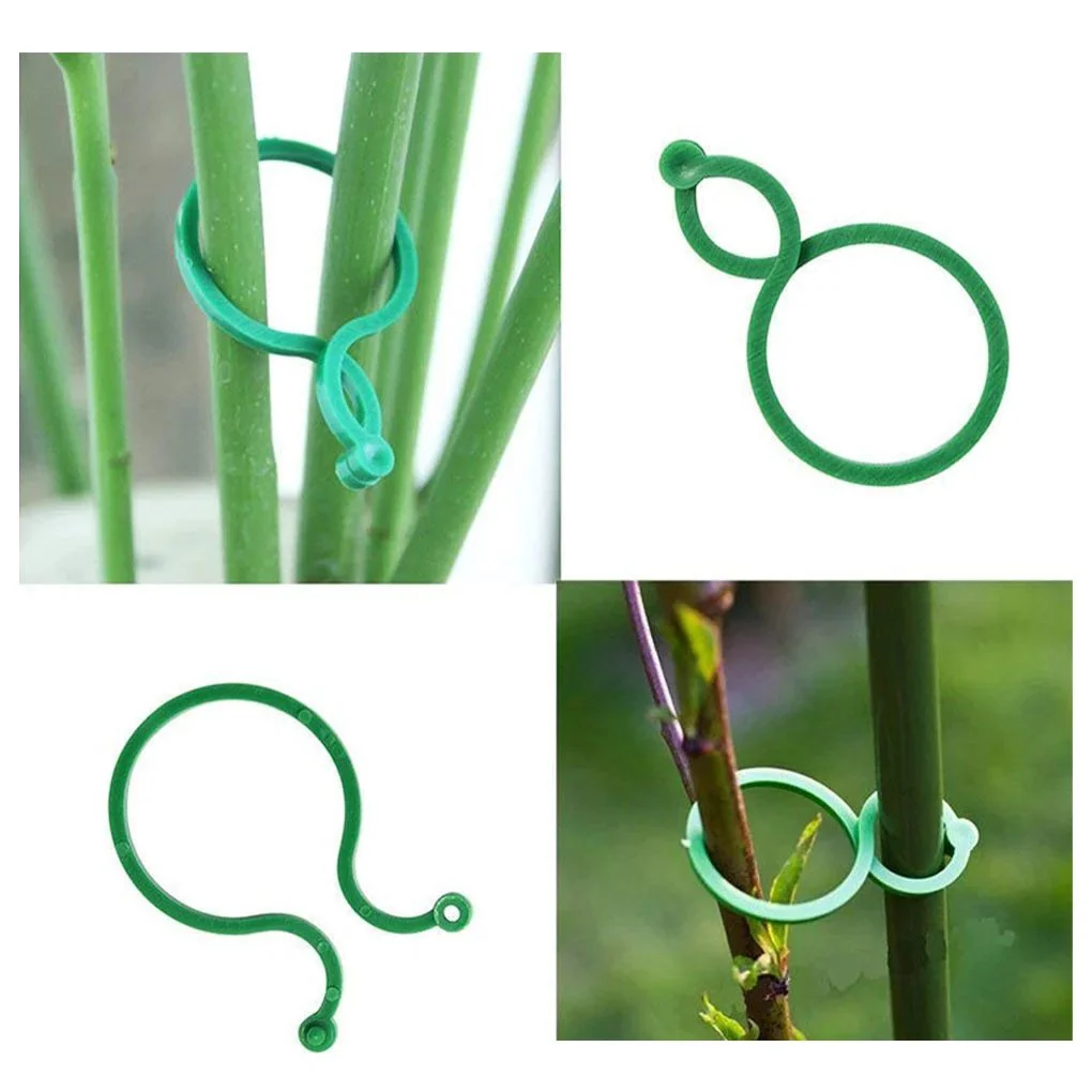 Garden Plant Holder (PACK OF 50) - Image 3