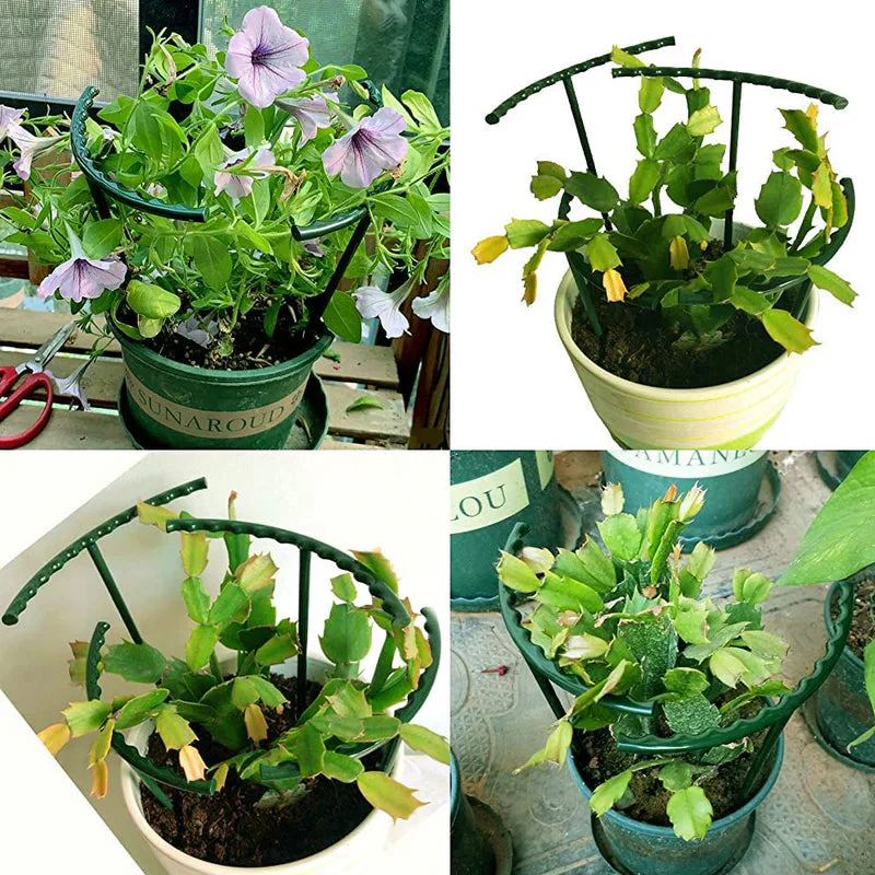 Garden Plant Support Cages (PACK OF 4) - Image 2