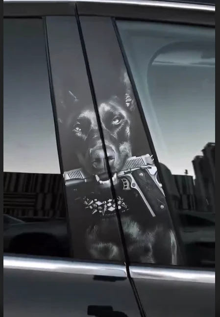 Car Door Stickers ππ - Image 13