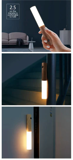 Magnetic Induction Light - Image 4