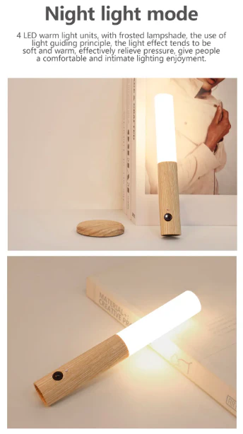 Magnetic Induction Light - Image 5