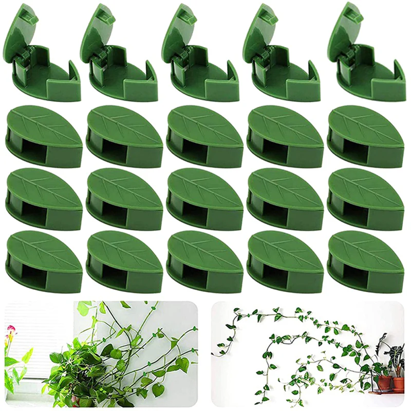 PLANT CLIMBING CLIPS (PACK OF 30) - Image 3