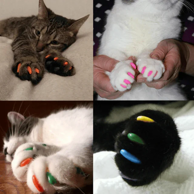 Imported Soft Silicone Nail Caps For Cats (Pack of 20) - Image 2